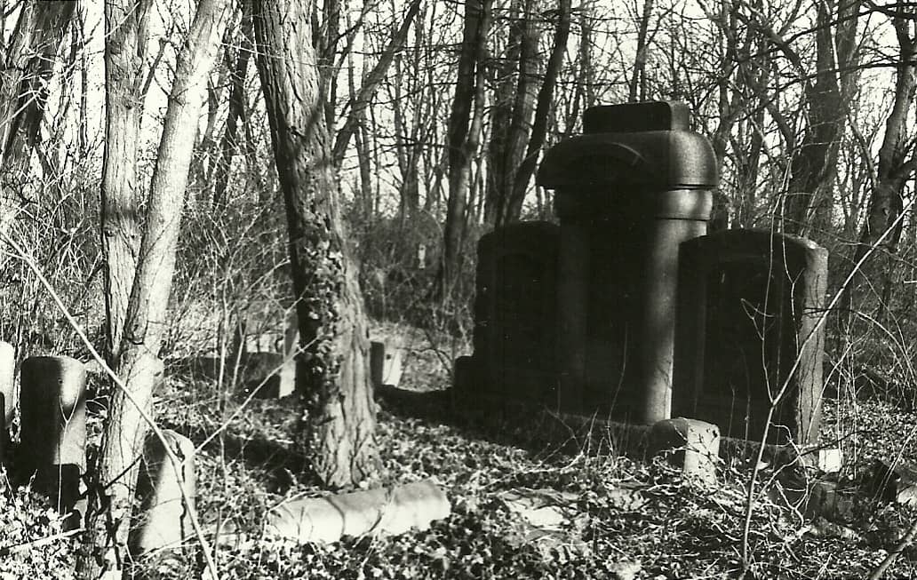 Na zdjęciu grób na cmentarzu wśród krzaków