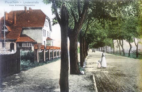 Zdjęcie archiwalne przedstawia ulicę w Pleszewie