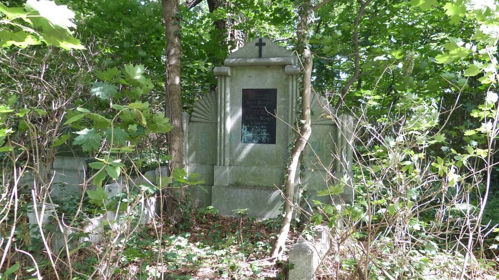 Na zdjęciu grób na cmentarzu wśród dzikich krzaków